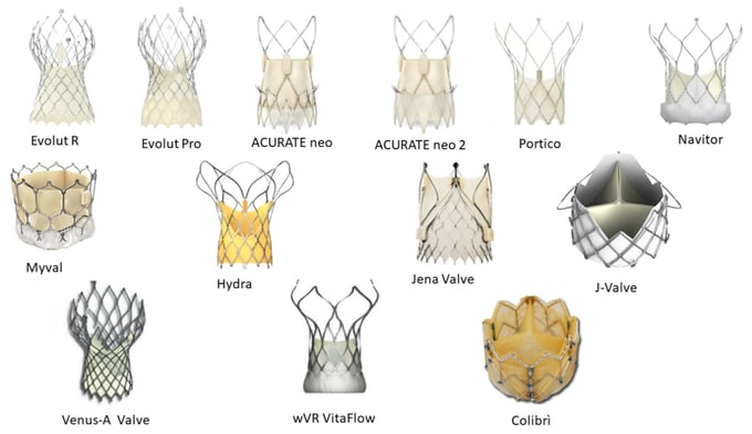 Tipos de TAVI disponibles en el mercado mundial