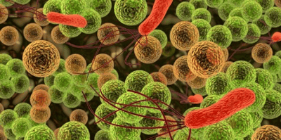 Endocarditis: Cuando el Corazón Lucha por Sobrevivir